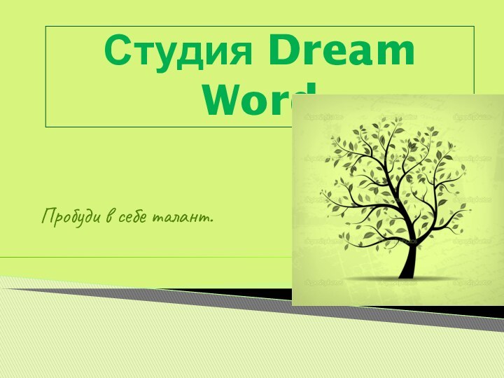 Студия Dream WordПробуди в себе талант.