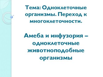 Тема: Одноклеточные организмы. Переход к многоклеточности.Амеба и инфузория – одноклеточные животноподобные организмы