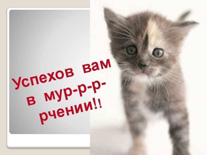 Успехов вам в мур-р-р-рчении!!