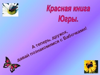 Бабочки