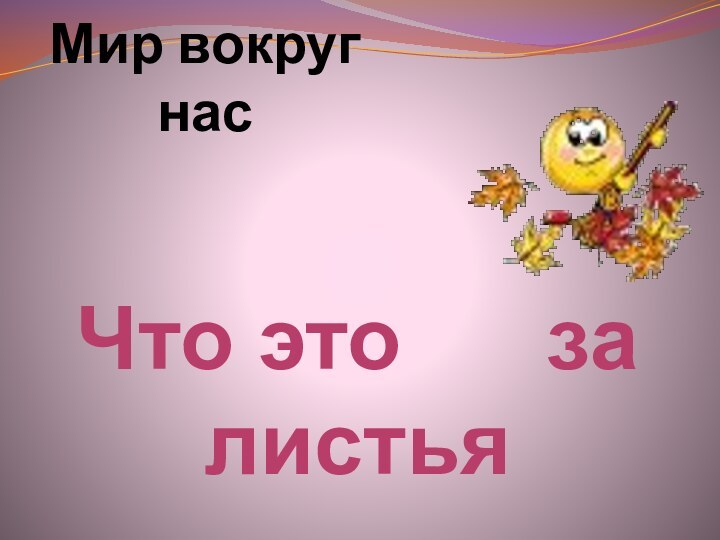 Мир вокруг насЧто это   за листья