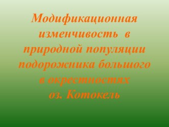 Модификационная изменчивость в природной популяции подорожника большого в окрестностях