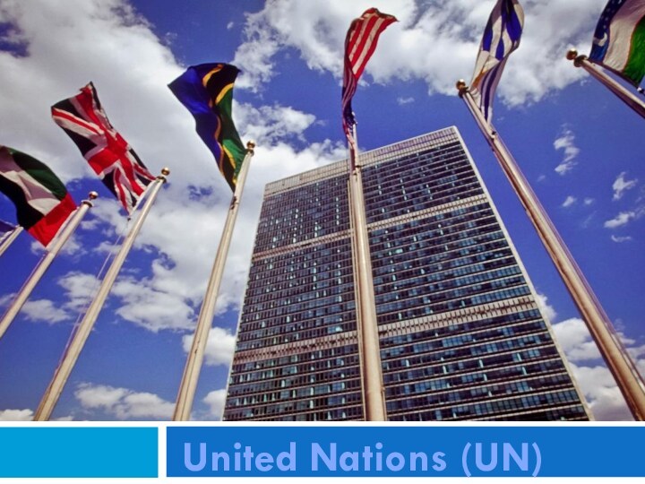  United Nations (UN)