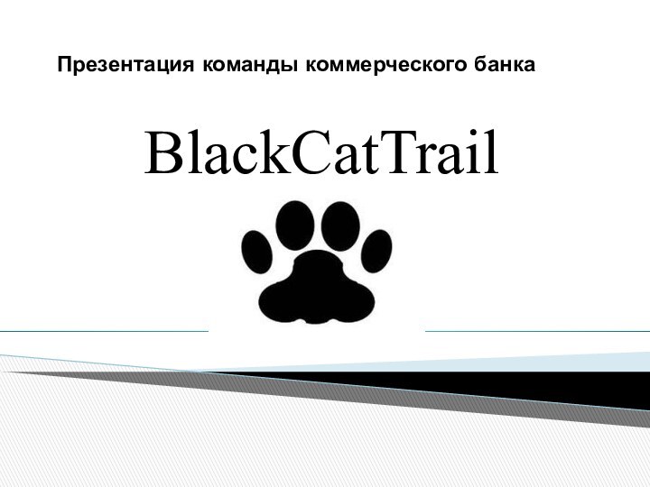 Презентация команды коммерческого банкаBlackCatTrail