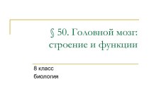 Головной мозг: строение и функции