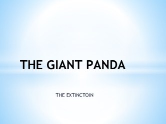 The giant panda