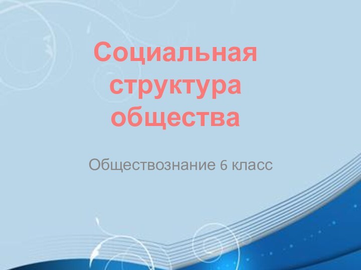 Обществознание 6 класс Социальная структура общества