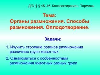 Органы размножения. Способы размножения. Оплодотворение