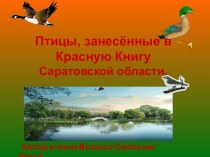 Птицы, занесенные в Красную Книгу Саратовской области