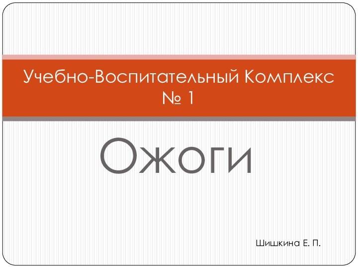 ОжогиУчебно-Воспитательный Комплекс № 1Шишкина Е. П.