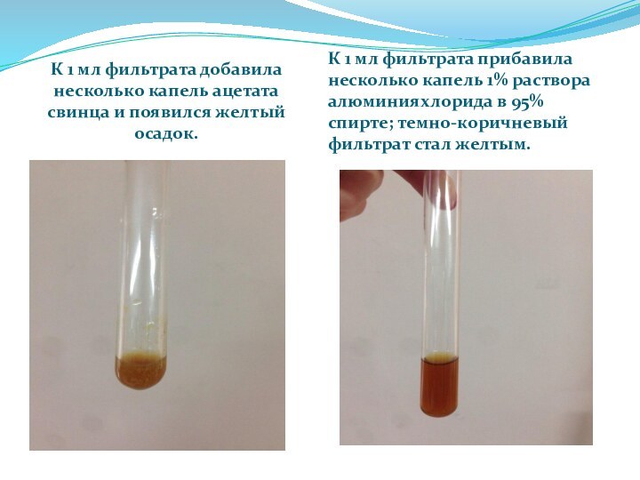 К 1 мл фильтрата добавила несколько капель ацетата свинца и появился желтый