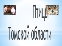 Птицы Томской области