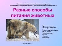 Разные способы питания животных