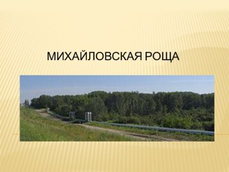 Михайловская роща