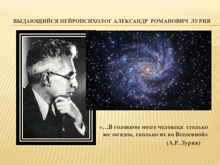 выдающийся нейропсихолог Александр Романович лурия  «…В головном мозге человека столько же