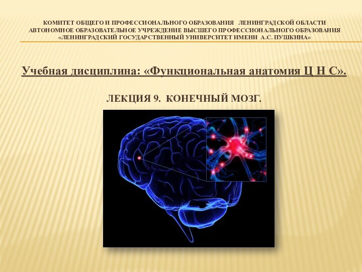 Комитет общего и профессионального образования  Ленинградской области Автономное образовательное учреждение высшего