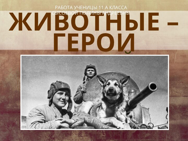 ЖИВОТНЫЕ – ГЕРОИВЕЛИКОЙ ОТЕЧЕСТВЕННОЙ ВОЙНЫРАБОТА УЧЕНИЦЫ 11 А КЛАССА СЫСОЕВОЙ ПОЛИНЫ АНДРЕЕВНЫ