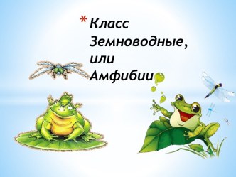 Класс Земноводные