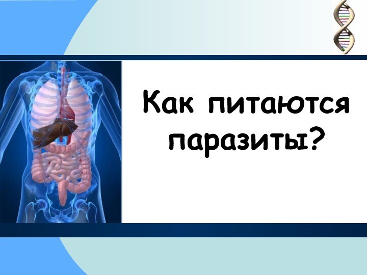 Как питаются паразиты?