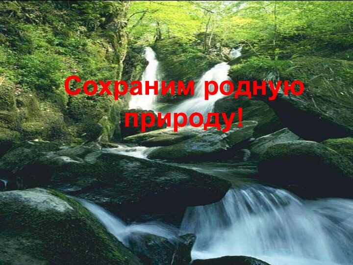 Сохраним родную природу!