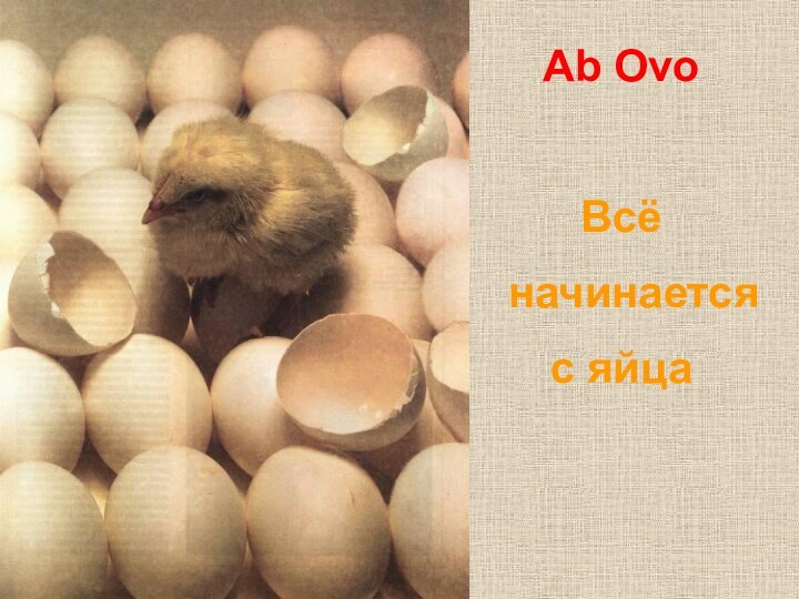 Ab Ovo Всё   начинаетсяс яйца