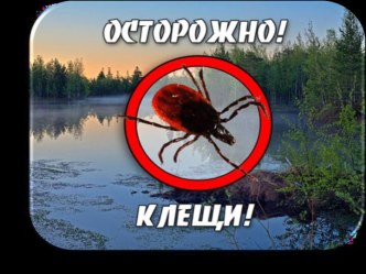 Осторожно, клещи!