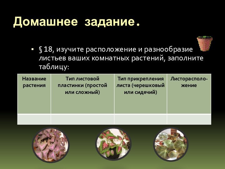 Домашнее задание.§ 18, изучите расположение и разнообразие листьев ваших комнатных растений, заполните таблицу: 