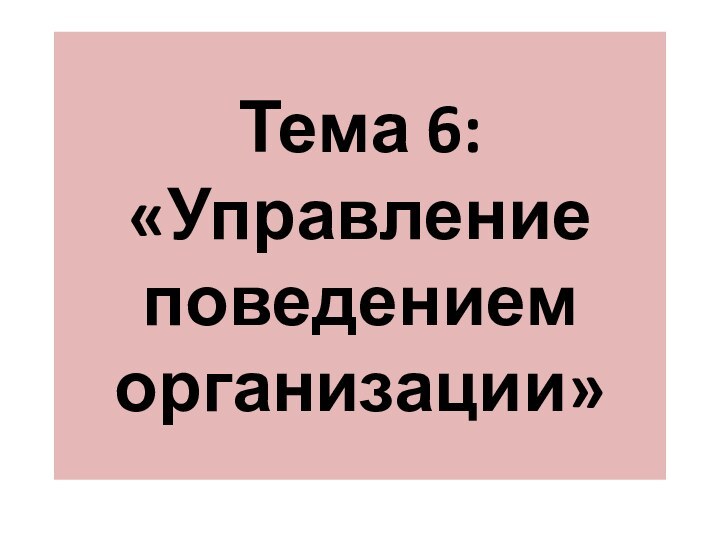 Тема 6:  «Управление поведением организации»