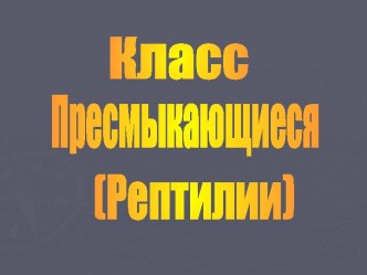 Класс Пресмыкающиеся. Рептилии