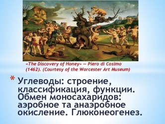 Углеводы: строение, классификация, функции. Обмен моносахаридов: аэробное та анаэробное окисление. Глюконеогенез.