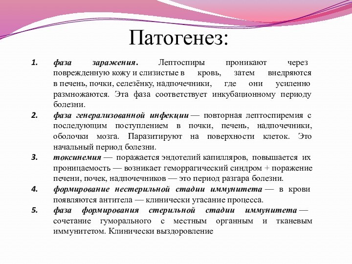 Патогенез:фаза заражения. Лептоспиры проникают через поврежденную кожу и слизистые в кровь, затем внедряются в печень, почки, селезёнку, надпочечники, где они