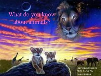 What do you know about animals