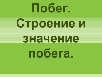 Побег.Строение и значение побега