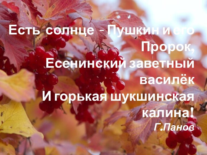 Есть солнце - Пушкин и его Пророк, Есенинский заветный василёк И горькая шукшинская калина! Г.Панов