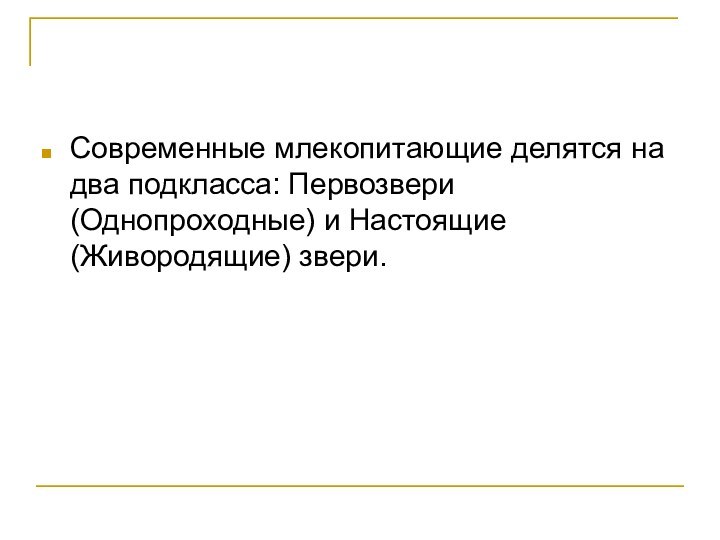 Современные млекопитающие делятся на два подкласса: Первозвери (Однопроходные) и Настоящие (Живородящие) звери.