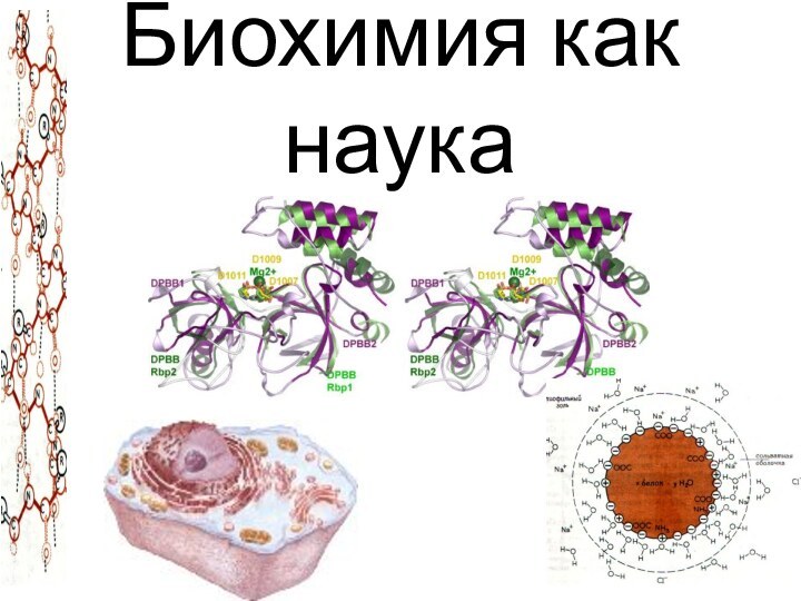 Биохимия как наука