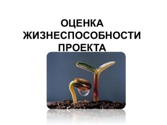 ОЦЕНКА ЖИЗНЕСПОСОБНОСТИ ПРОЕКТА