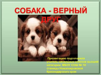 Собака - верный друг