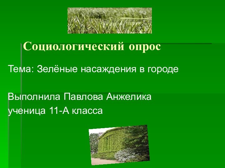 Социологический опросТема: Зелёные насаждения в городеВыполнила Павлова Анжелика ученица 11-А класса