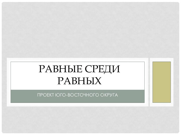 Проект юго-восточного округаРавные среди равных