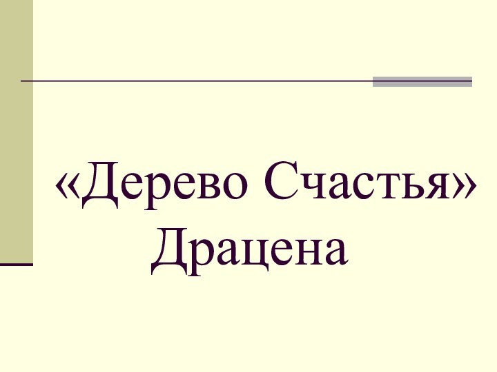 «Дерево Счастья»     Драцена