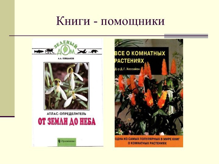 Книги - помощники