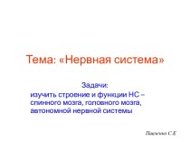 Нервная система