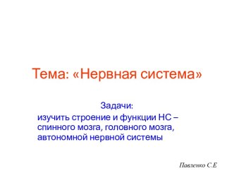 Нервная система