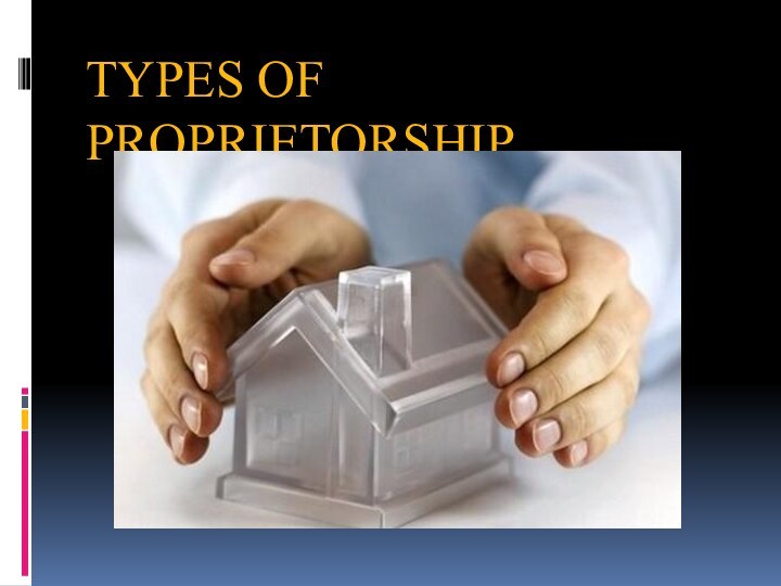 TYPES OF PROPRIETORSHIP