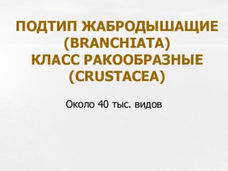 Подтип жабродышащие, класс ракообразные