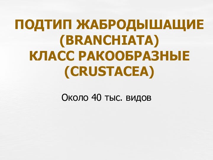 ПОДТИП ЖАБРОДЫШАЩИЕ (BRANCHIATA) КЛАСС РАКООБРАЗНЫЕ (CRUSTACEA)Около 40 тыс. видов