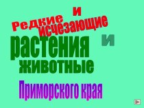 Редкие и исчезающие растения и животные Приморского края