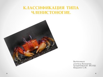 Классификация типа членистоногие