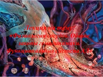 Лекция на тему:Физиология сосудов. Общие законы гемодинамики. Функциональная система АД